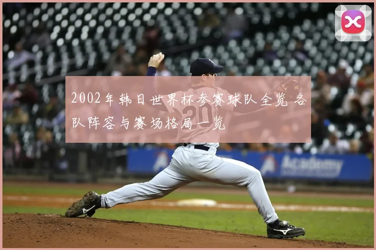 2002年韩日世界杯参赛球队全览 各队阵容与赛场格局一览