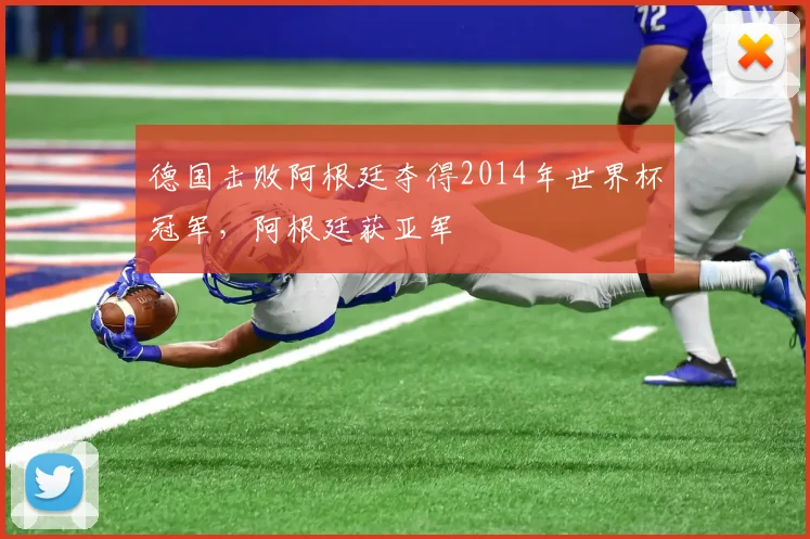德国击败阿根廷夺得2014年世界杯冠军,阿根廷获亚军