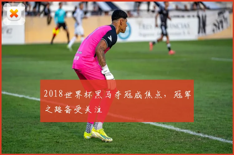 2018世界杯黑马夺冠成焦点，冠军之路备受关注