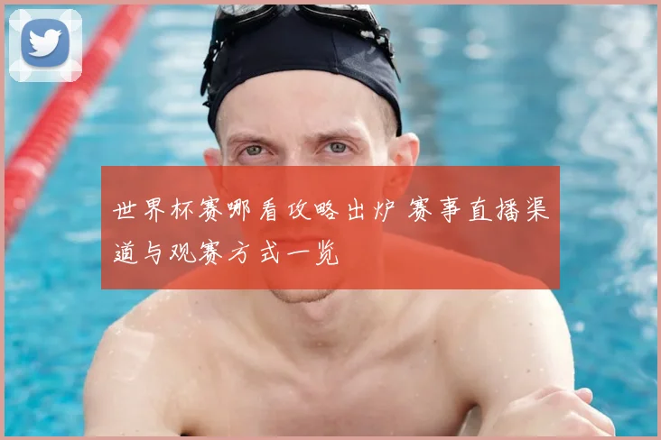 世界杯赛哪看攻略出炉 赛事直播渠道与观赛方式一览