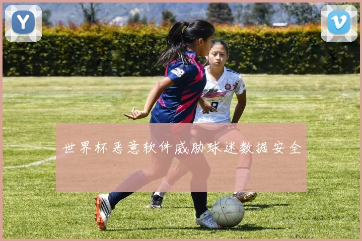 世界杯恶意软件威胁球迷数据安全